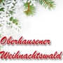 Oberhausener Weihnachtswald 